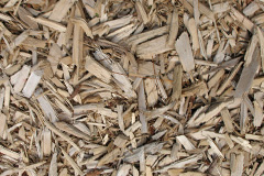 biomass boilers Shulista